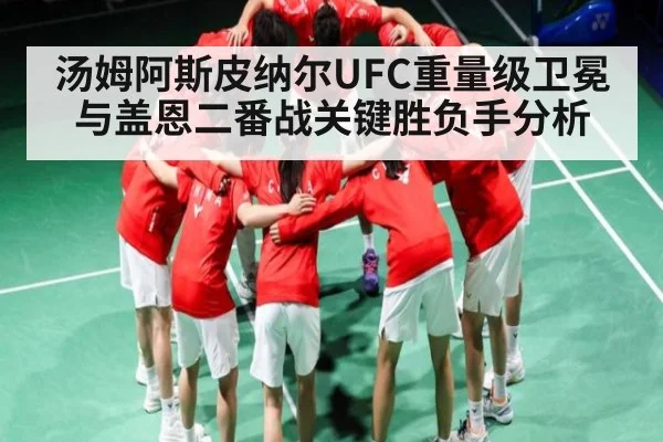 汤姆阿斯皮纳尔UFC重量级卫冕与盖恩二番战关键胜负手分析